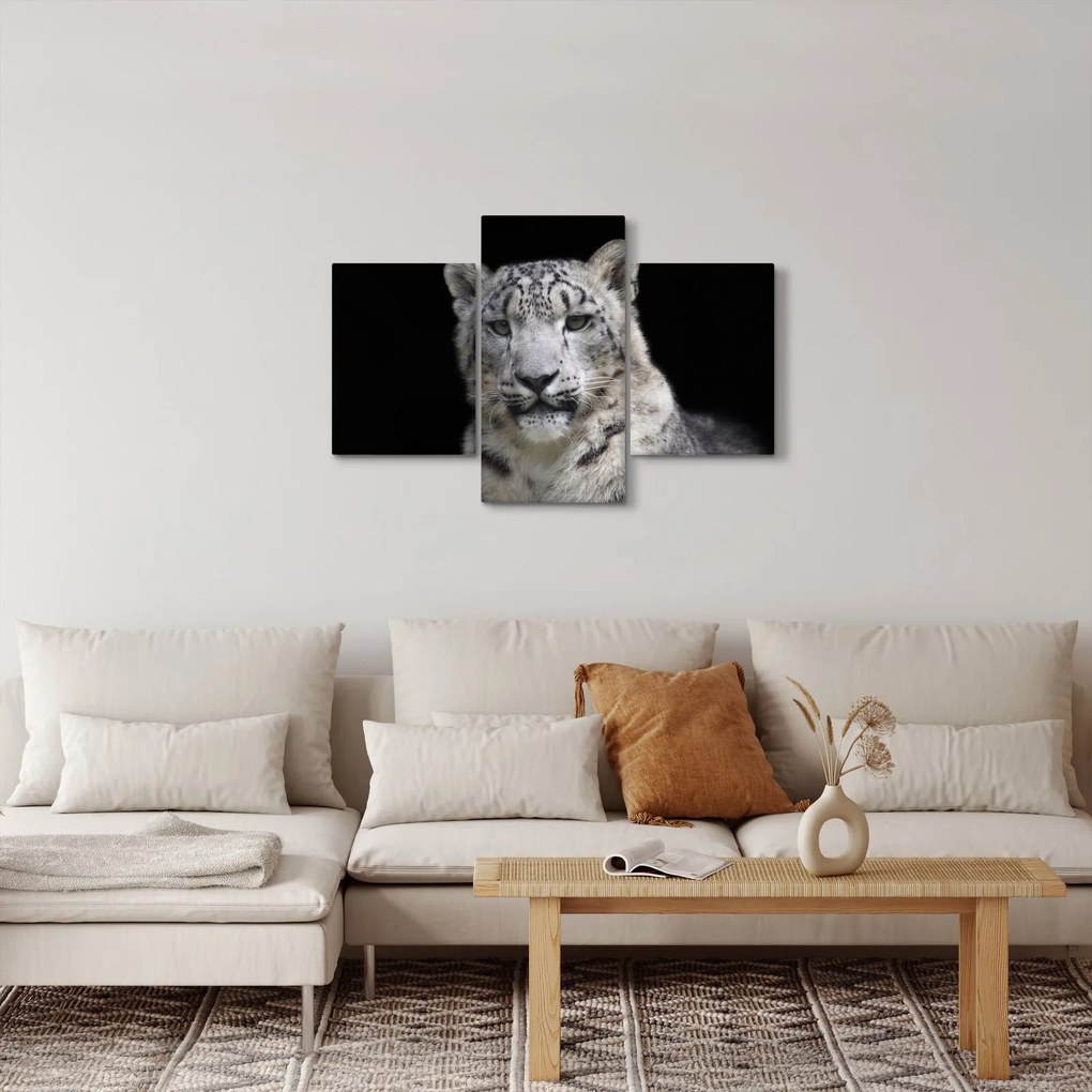 Kép - Snow Leopard (90x60 cm)