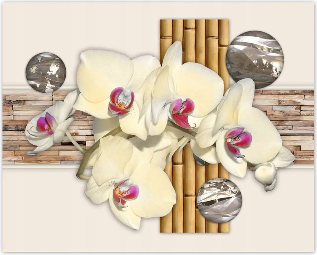 Poszterek 50x40 Virágmintás bambusz