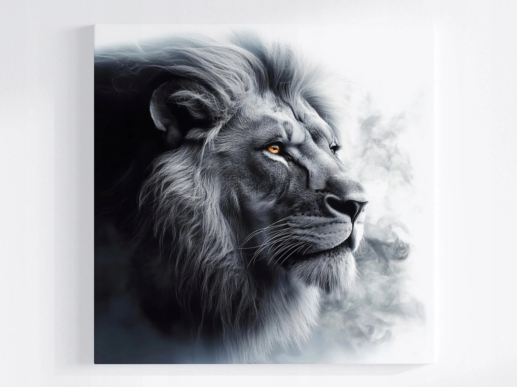Poszter A Dzsungel Királya Oroszlán Fekete-fehér Portré 80x80
