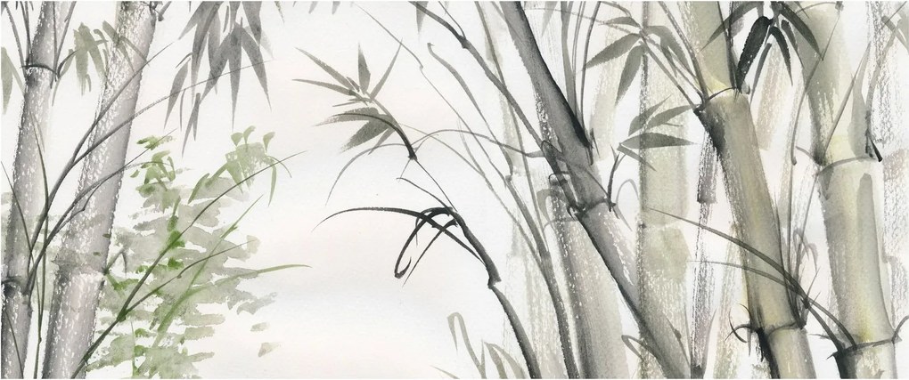 Kép Bambusz, rajz (120x50 cm)