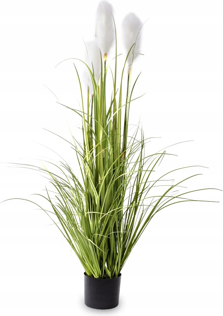 Nagy zöld fű dekoratív növény egy cserépben