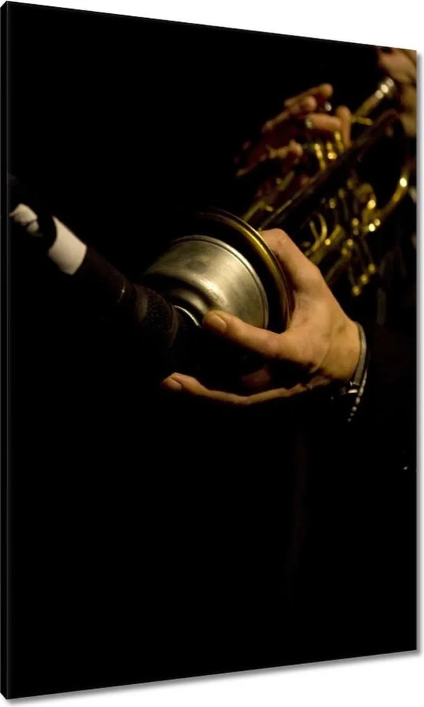 Festmények 70x100 Jazz zenész