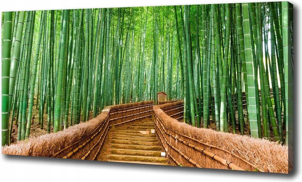 Vászonkép Bambusz erdő 100x70 cm