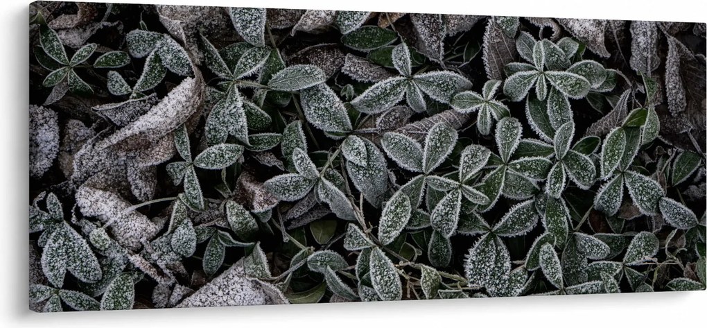 Kép - Fagyasztott növények (120x50 cm)