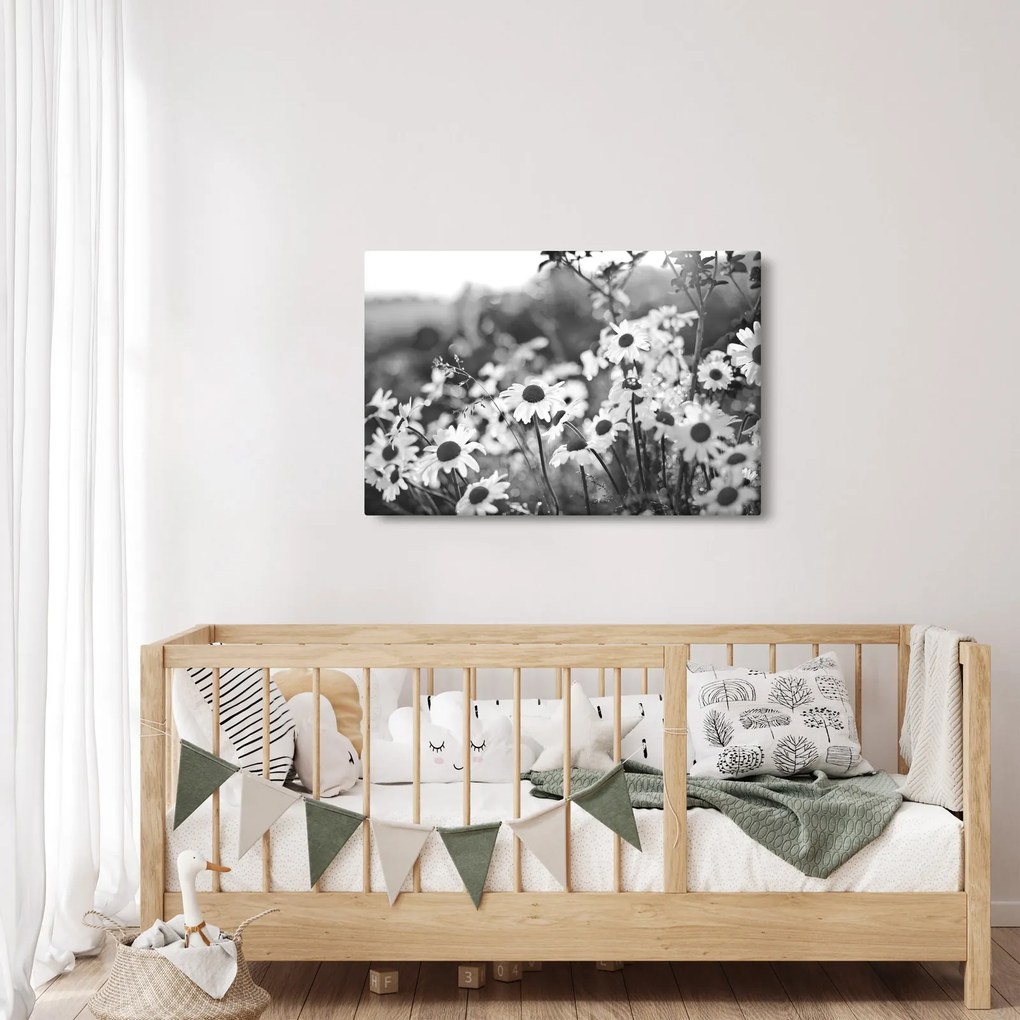 Kép - Százszorszépek (90x60 cm)