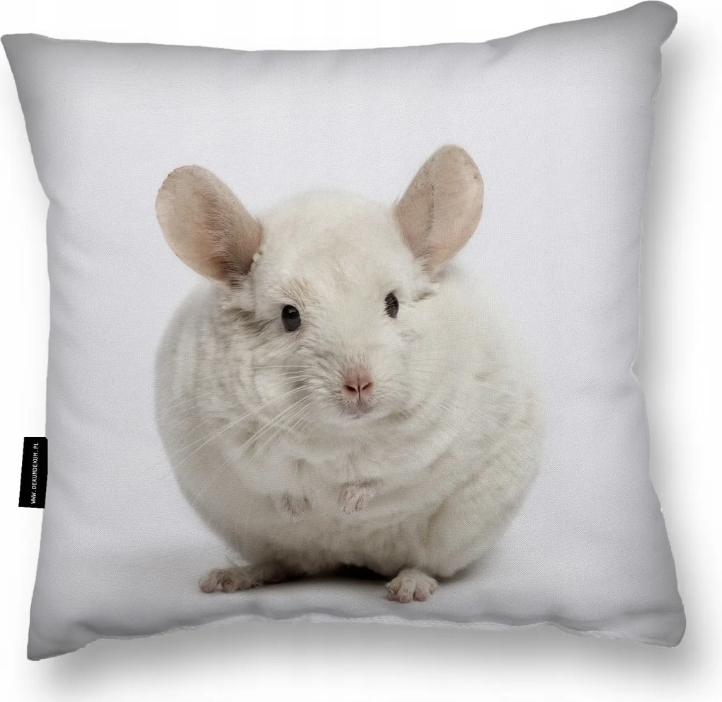 Csincsilla Párna Csincsilla 40x40 alváshoz puha nagy dekoratív