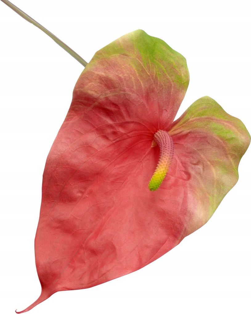 Mesterséges Levél Anturium Váza Kompozíció Kiváló Minőségű Hab 75 CM