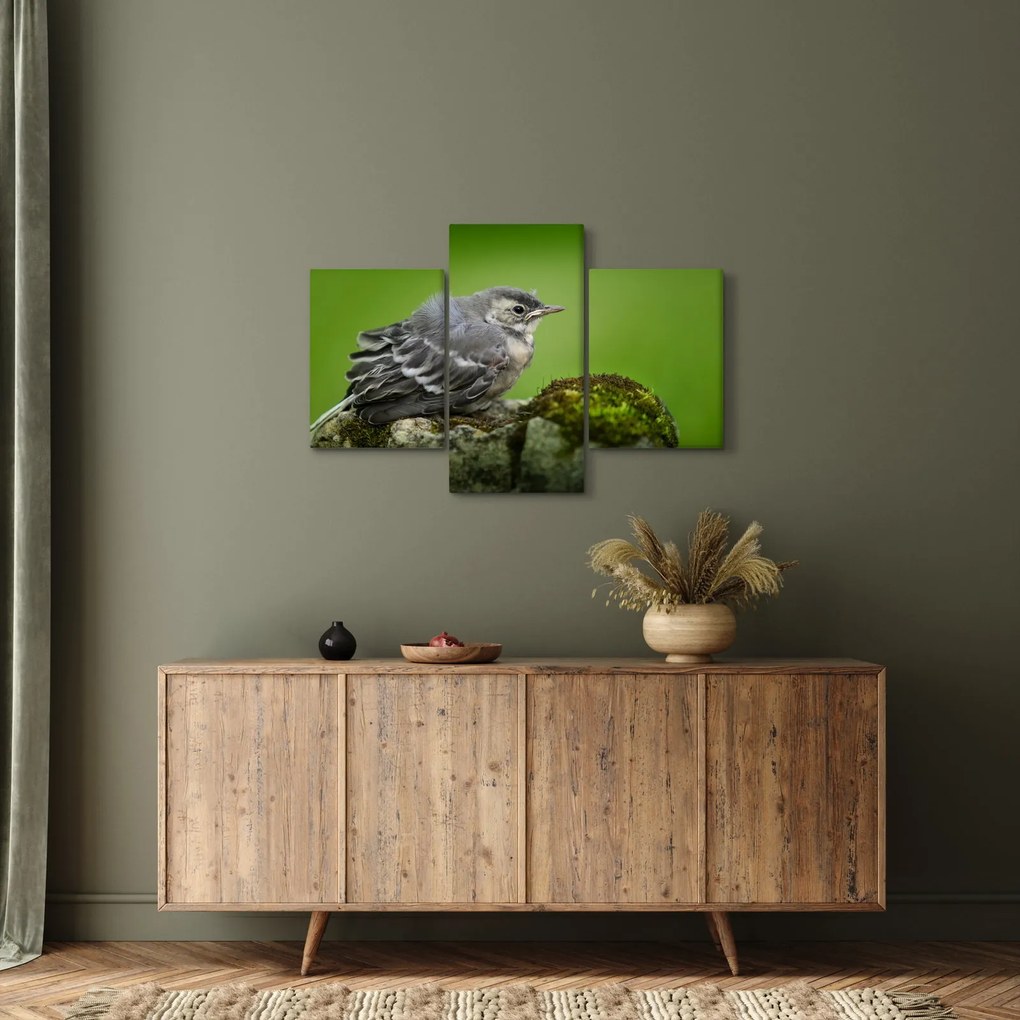 Kép - Légykapó (90x60 cm)