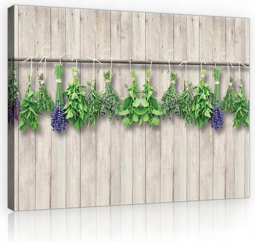 Vászonkép falikép zöld szürke gyógynövények 70 x 50