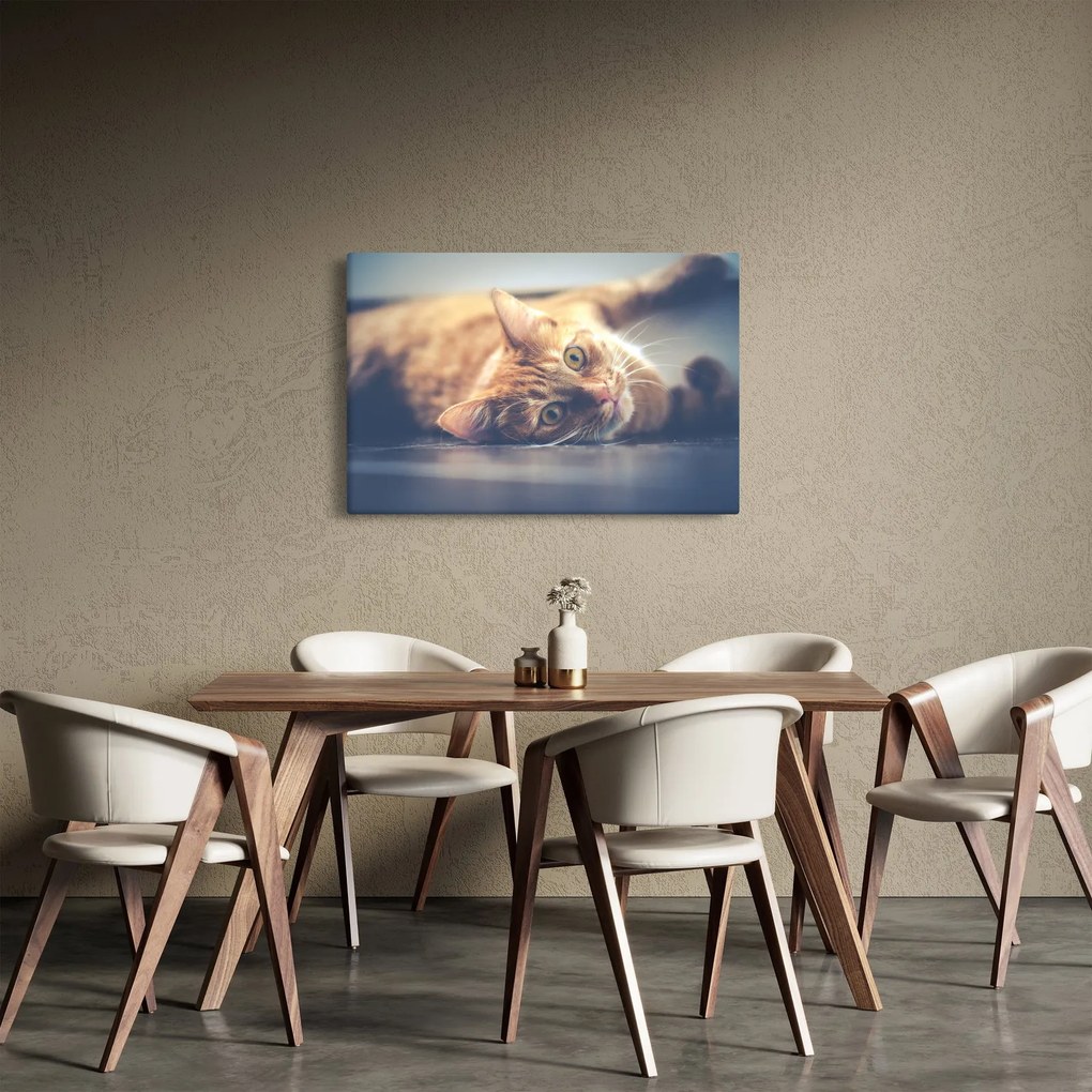 Egy kép a macskáról a padlón (90x60 cm)