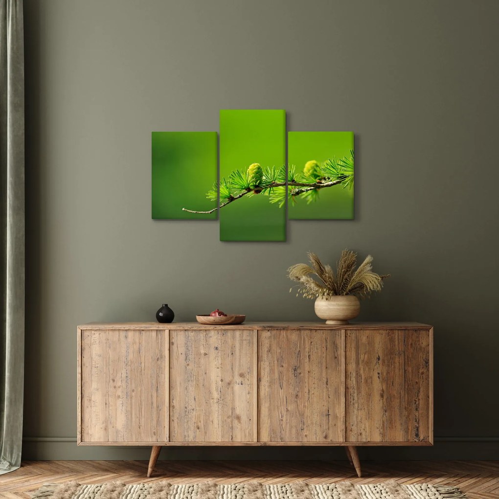 Zöld fenyőtoboz képe (90x60 cm)