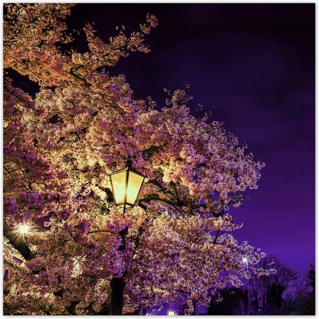 Poszterek 30x30 Éjszakai motívum a nappaliba