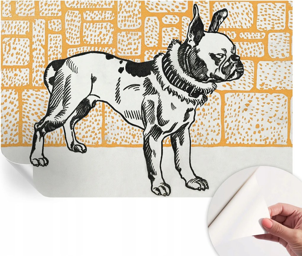 Fotótapéta Dekoratív Fali Tapéta Képekkel Kutya Retro 104x70 cm