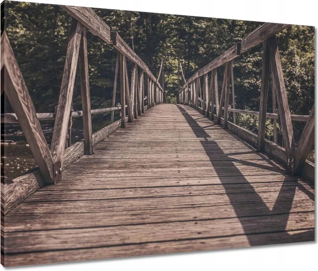 Vászonkép 80x60 Fa híd