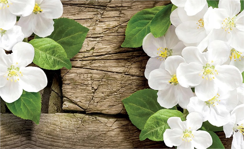 Flizelin fotótapéta Fehér virágok a fán 416x254 hatással +ragasztó