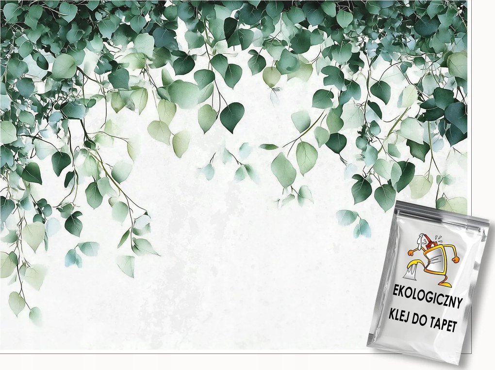Fotótapéta Levelek Zöld Természet Konyha Hálószoba Nappali Tapéta 350x250
