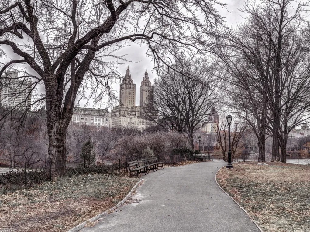 Poszter 40x30cm Ösvény a központi parkon át 2, Assaf Frank