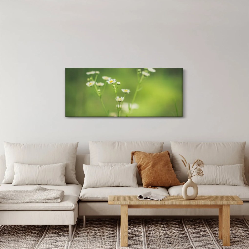 Egy százszorszép képe (120x50 cm)