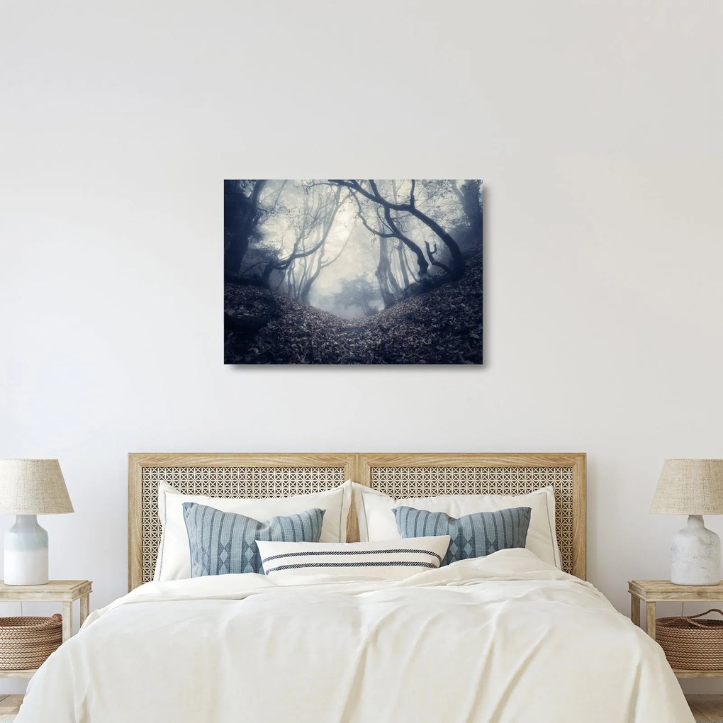 Kép - Erdő a ködben (üvegen) (70x50 cm)