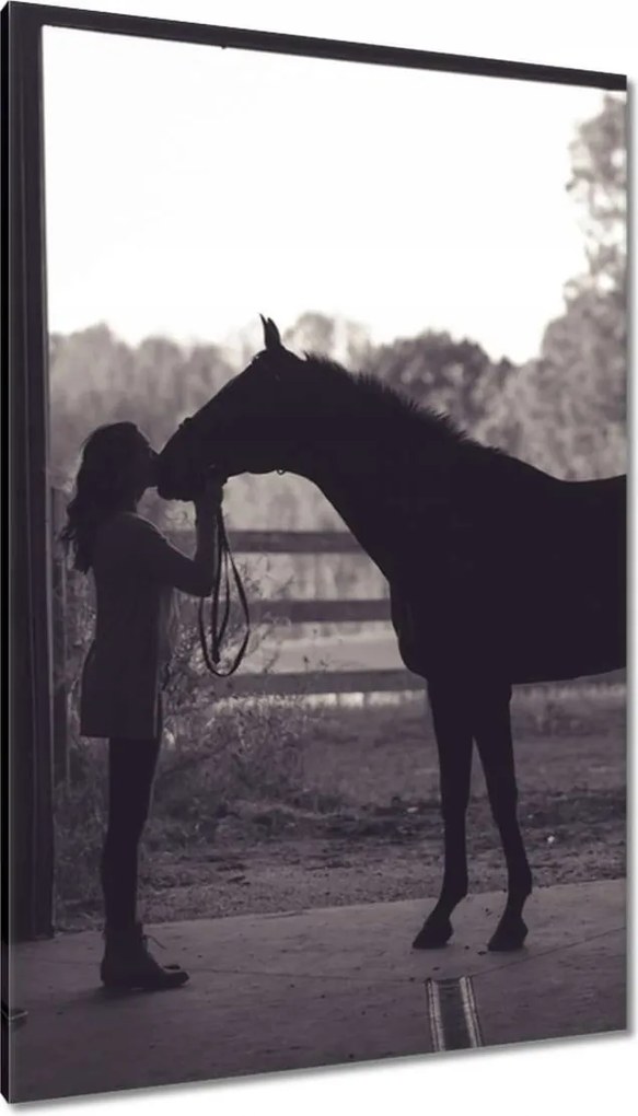 Vászonkép 80x120 Ló Lovak Lovaglás