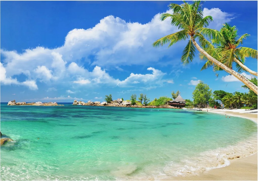 Fotótapéta Flizelina Nappali és Hálószoba Trópusi paradicsom 312x219 Ragasztó