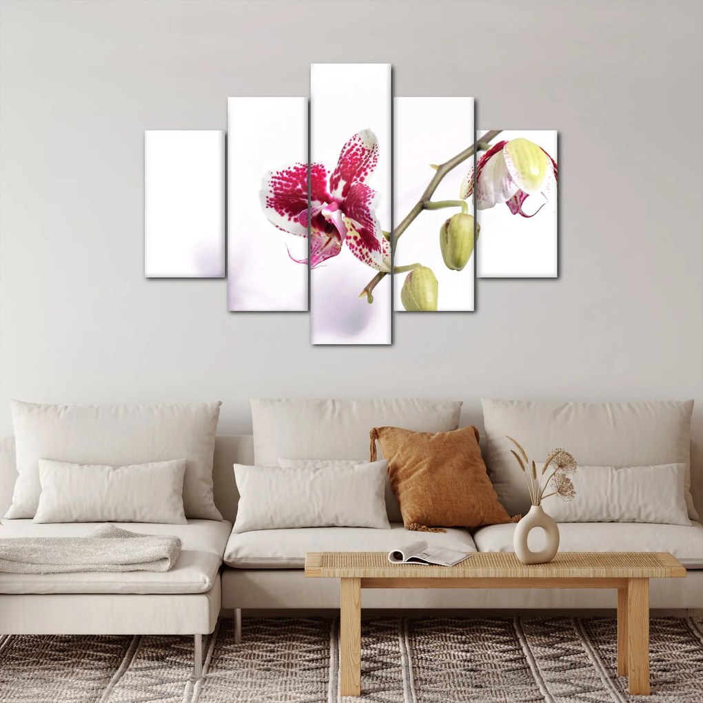Orchidea virág képe (150x105 cm)