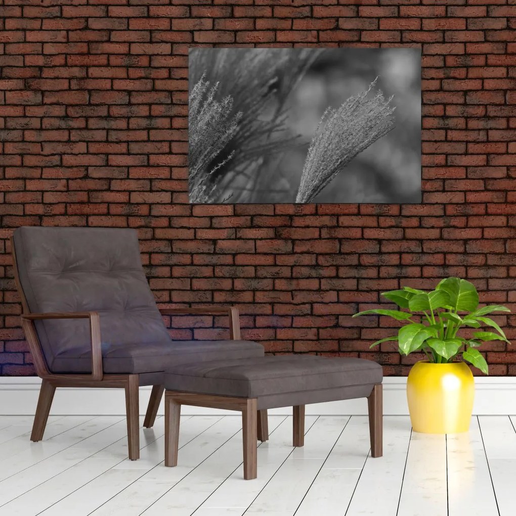 Kép - Szárított pampafű (90x60 cm)