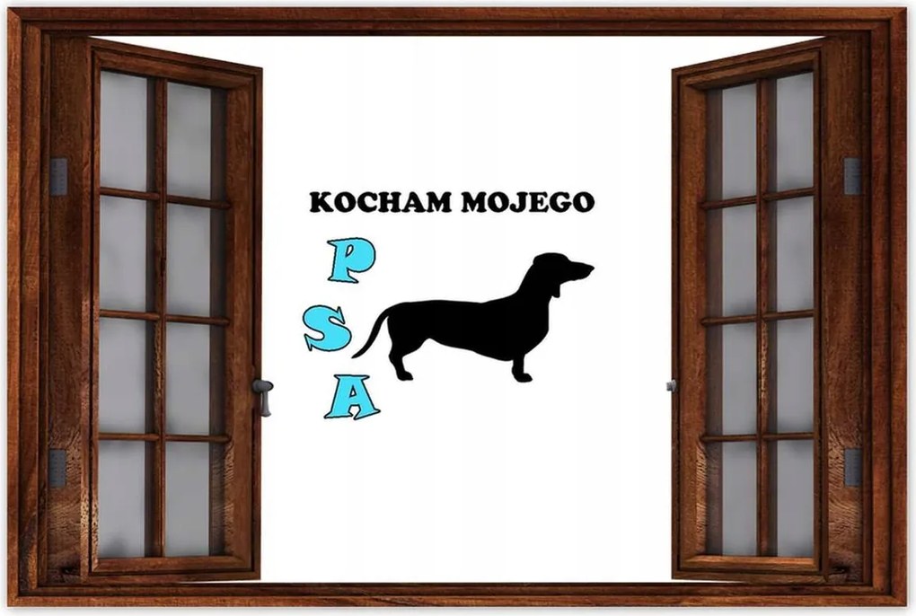 Plakátok 90x60 tacskó