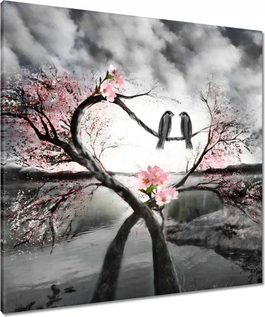 Vászonkép 80x80 Szerelmes találkozás Madarak