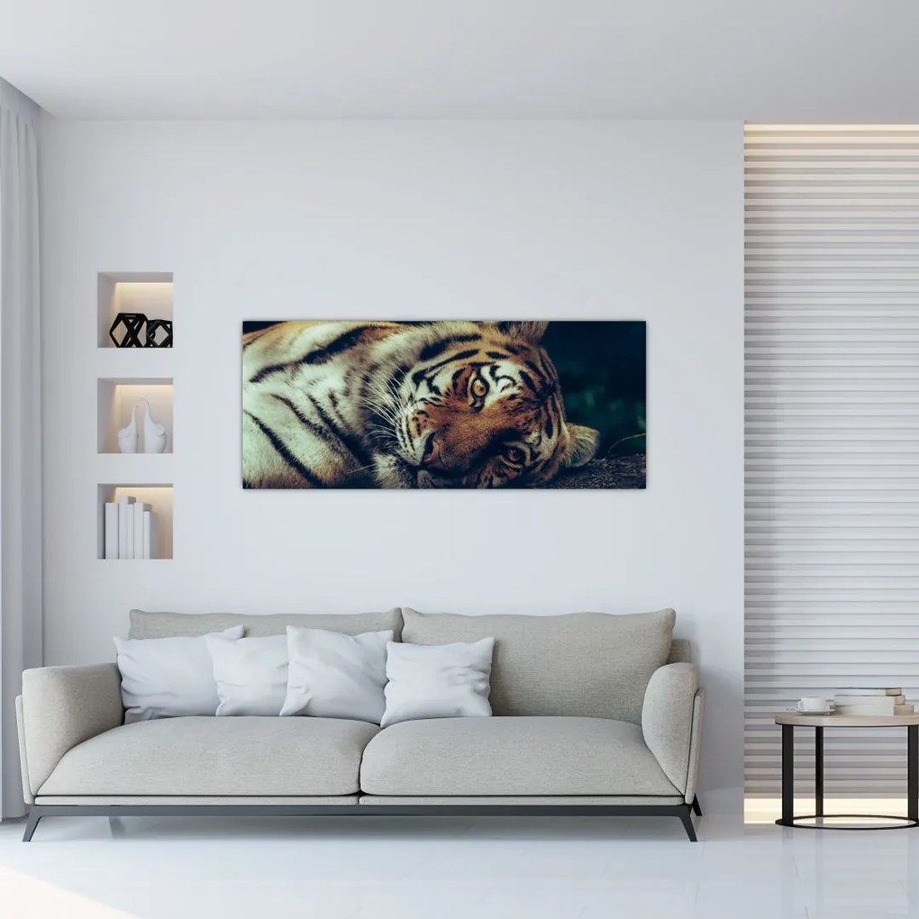 Kép - Szibériai tigris (120x50 cm)