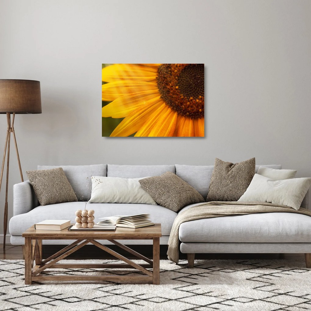 Üveg kép - Napraforgók (70x50 cm)
