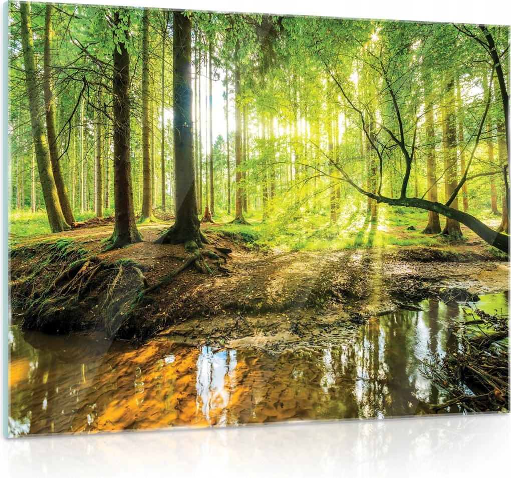 Üvegfestmény Üveg Erdő Tájkép Nappali 80x60