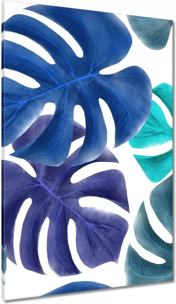 Vászonkép 80x120 Monstera Levelek Kék