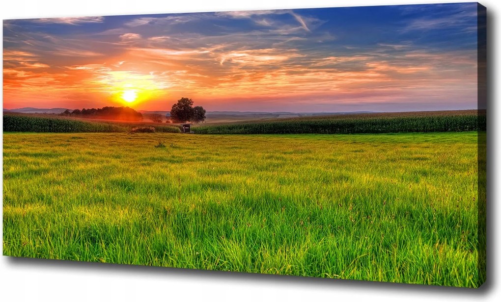 Vászonkép Naplemente rét 100x70 cm