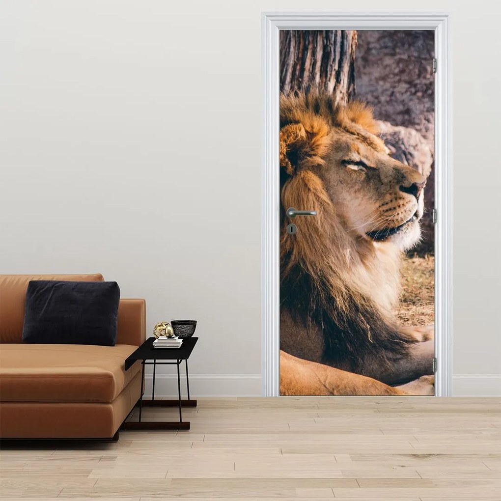 Fotótapéta ajtóra - Fekvő oroszlán (95x205cm)