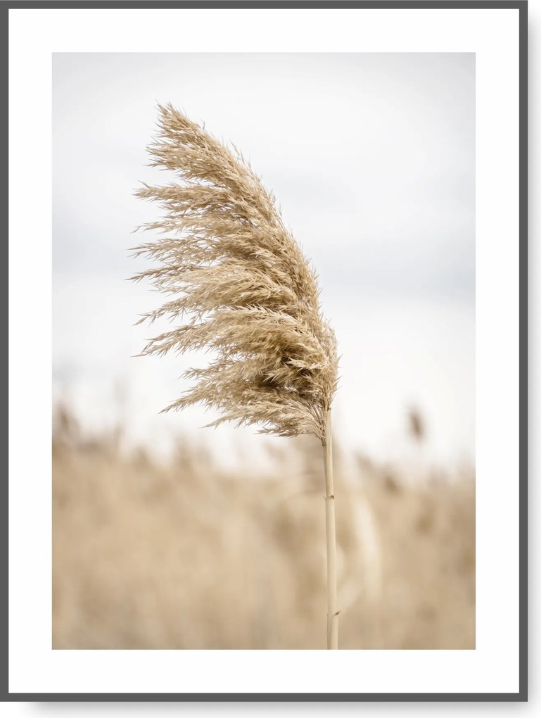 Boho 21x30 Vászonkép Természet Fű Bézs poszter #20