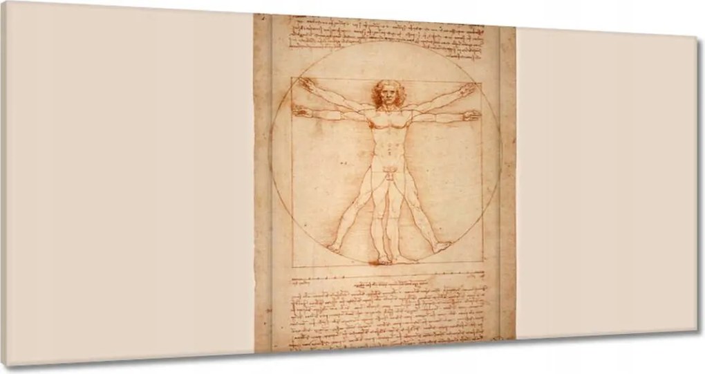 Vászonkép 60x30 A vitruviusi ember da Vinci