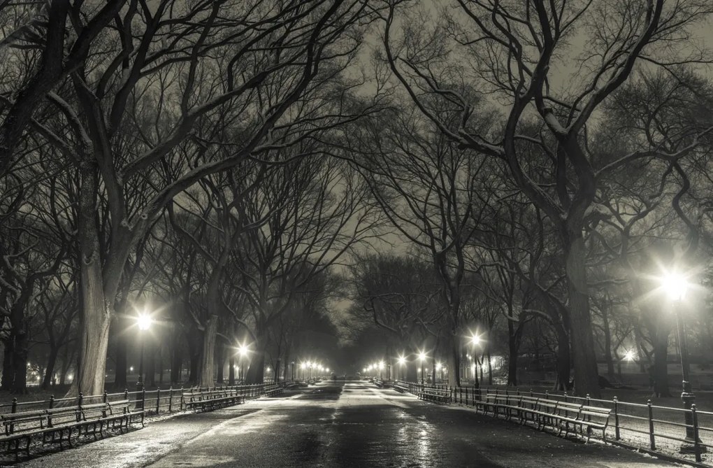 Poszter 91,5x60cm Éjszakai kilátás a Central Parkon át vezető útra, Assaf Frank