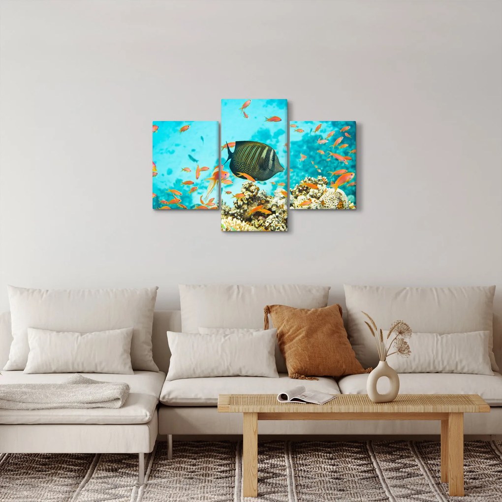 A víz alatti világ képe (90x60 cm)