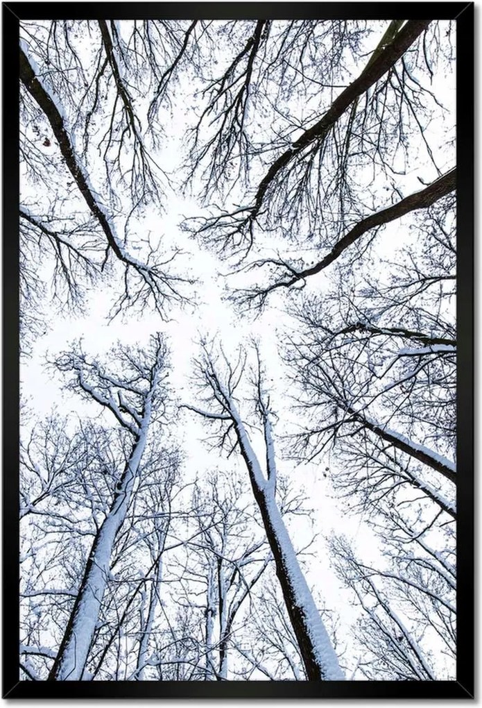 Poszterek keretben 40x60 Fa Kilátás