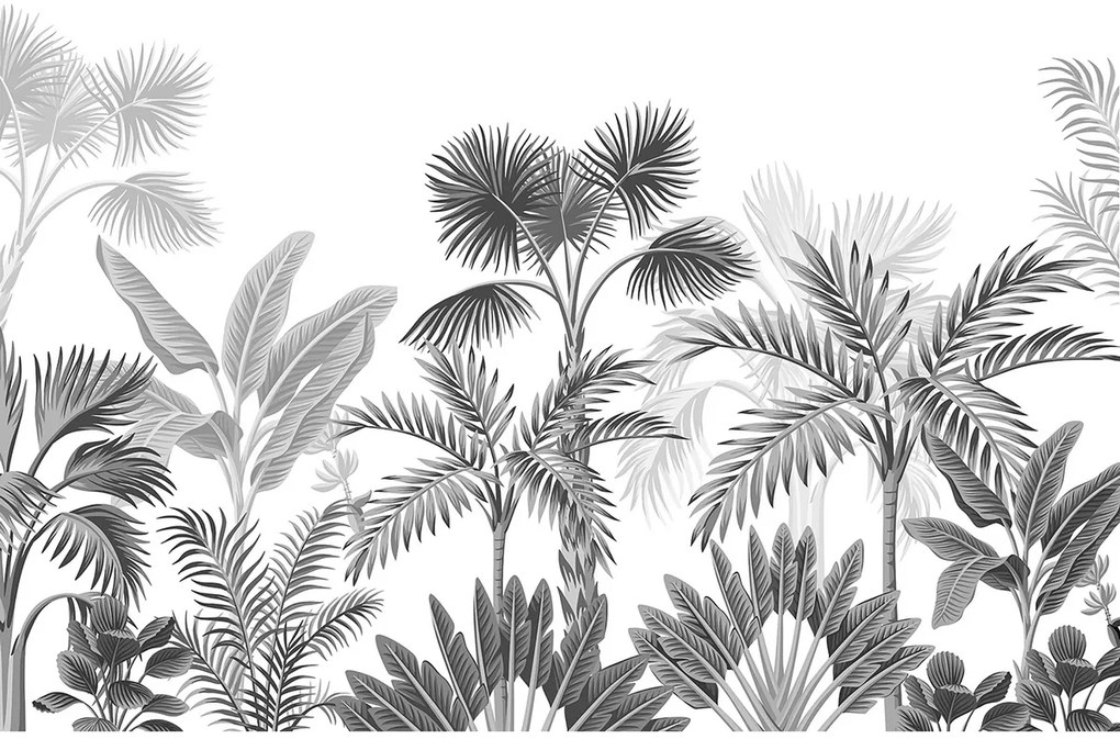 Fototapeta XXL Jungle 360 x 254 cm, 8 részből