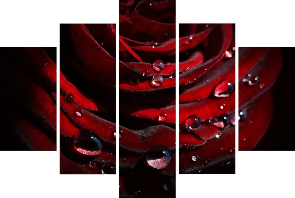 Kép - Rózsa részlete (150x105 cm)