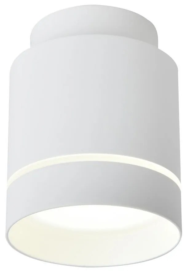 LED Mennyezeti lámpa TUBA LED/12W/230V