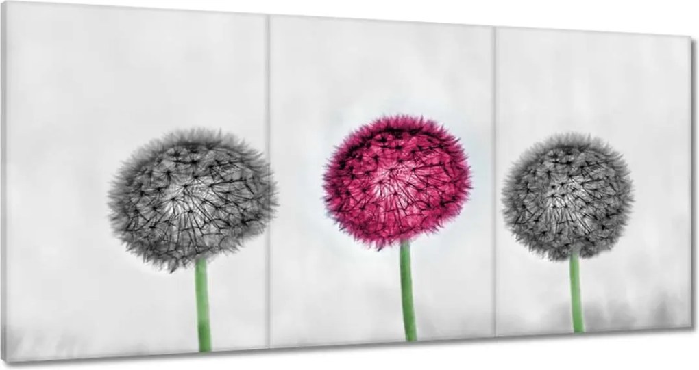 Vászonkép 180x90 Rózsaszín pitypang virág