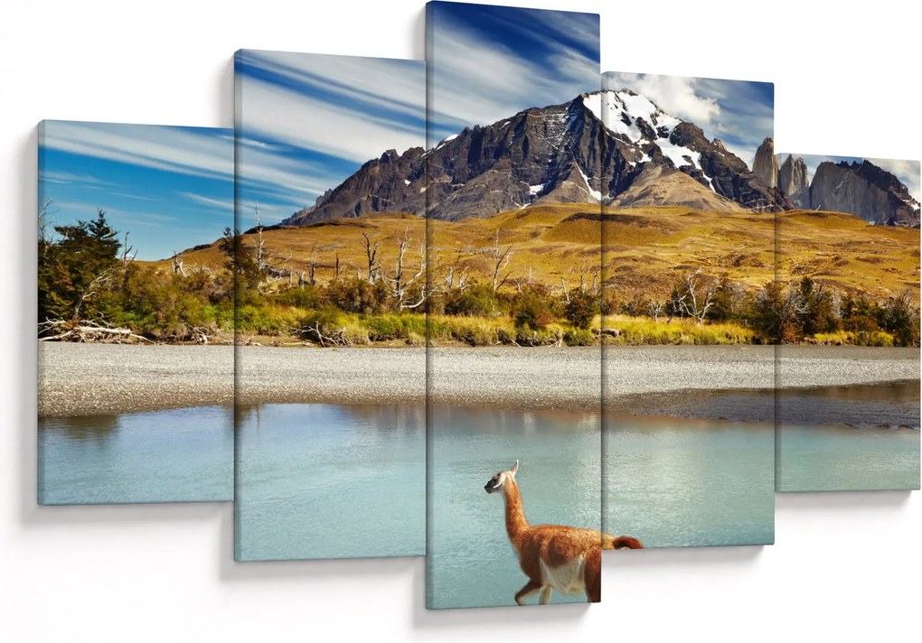 Kép - Torres del Paine Nemzeti Park (150x105 cm)