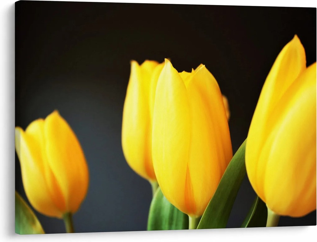 Tulipán képe (70x50 cm)