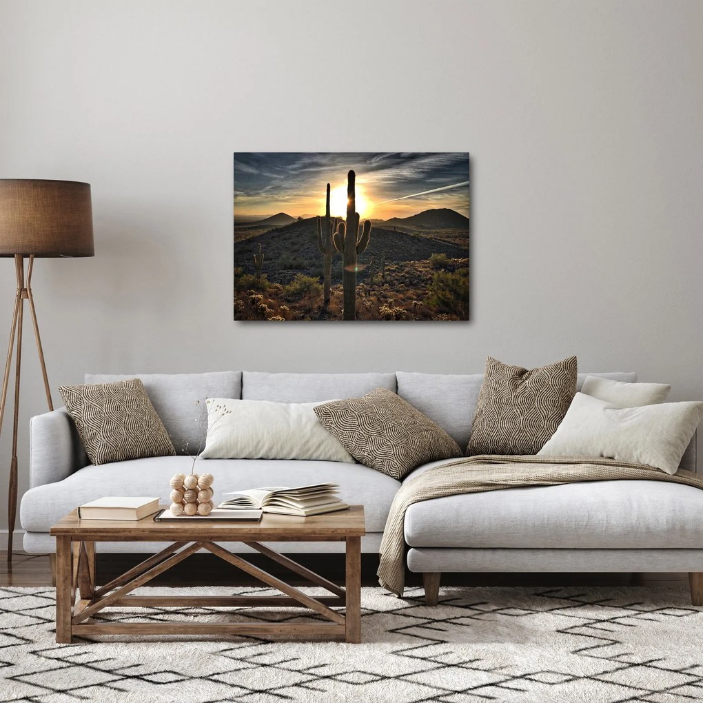 Kép - kaktuszok a napon (70x50 cm)