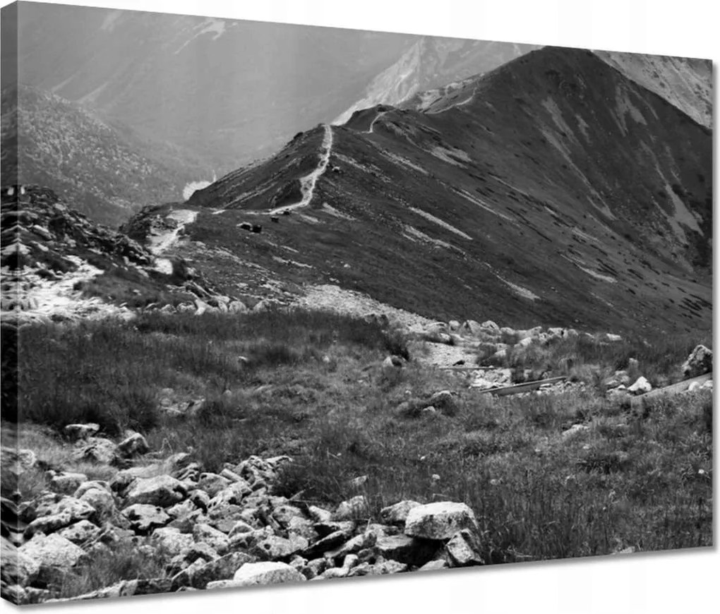 Vászonkép 40x30 Tátra Lengyel hegyek Kilátás