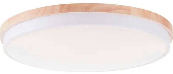 Brilliant - LED Dimmelhető mennyezeti lámpa BAARLO LED/36W/230V átm. 50 cm fehér + távirányító