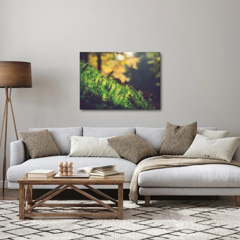 A moha képe gombával (70x50 cm)